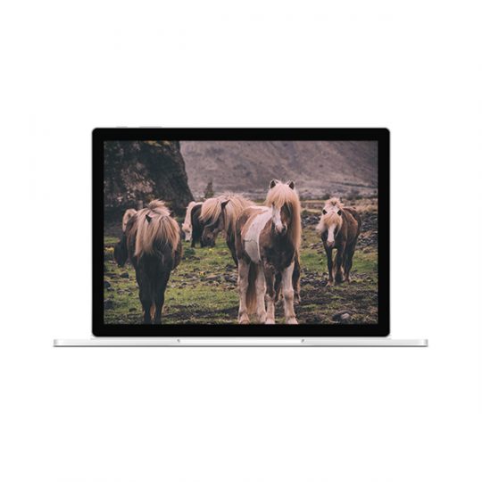 Apple Macbook